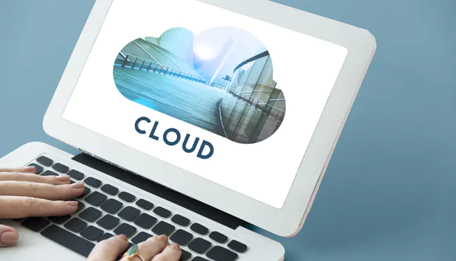 freehosting com wordpress Belfast